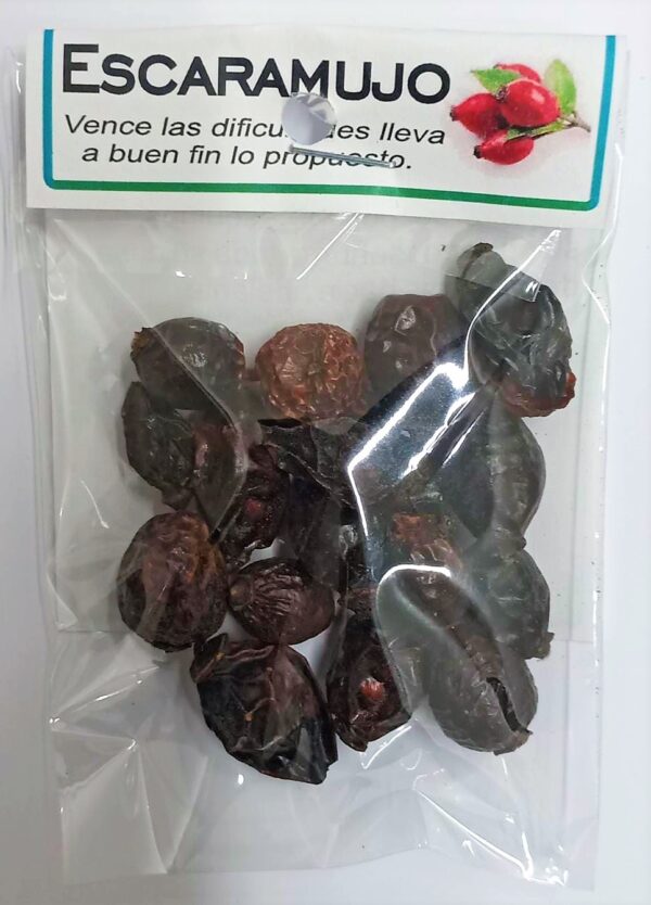 HIERBA ESCARAMUJO, vence dificultades