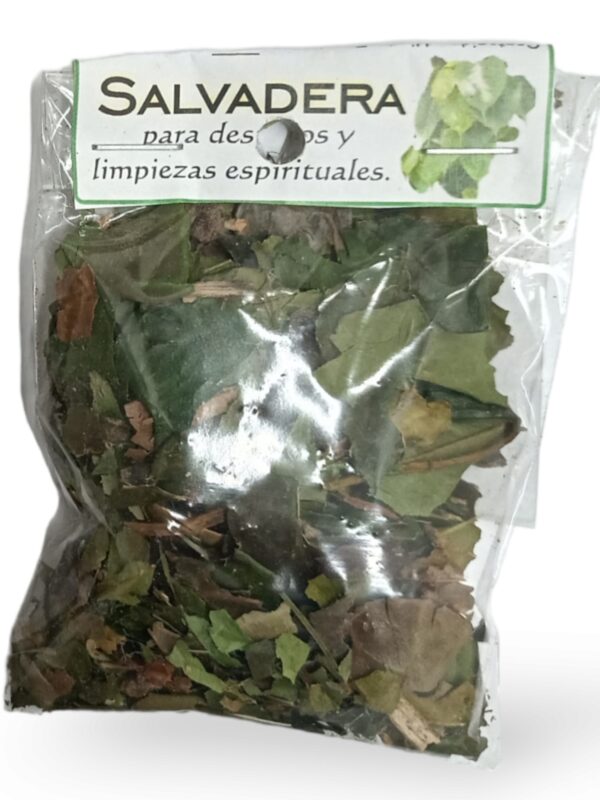 HIERBA SALVADERA, para limpiezas espirituales