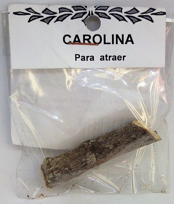 PALO CAROLINA